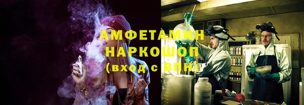 2c-b Инсар