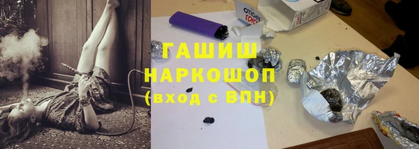2c-b Инсар