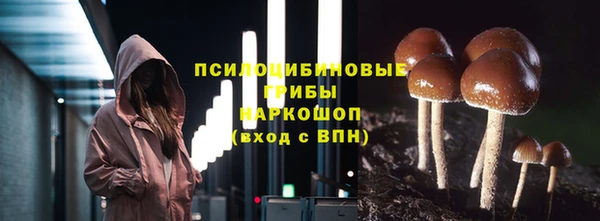 соль курить ск Иннополис