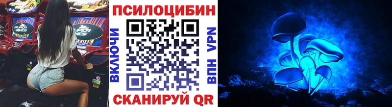 МЕГА маркетплейс  наркота  Озёрск  Псилоцибиновые грибы прущие грибы 